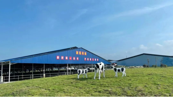 奶源建設再提速！田東縣皇氏奶業(yè)示范區正式投產(chǎn)！