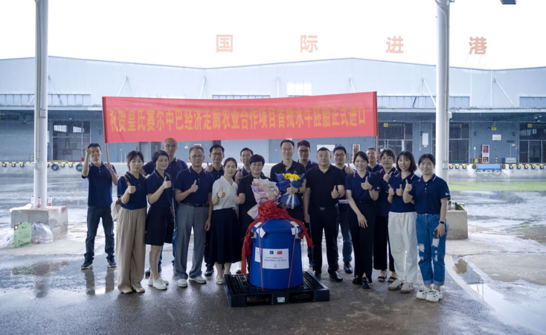 重磅！全國首批5000枚進(jìn)口巴基斯坦優(yōu)質(zhì)奶水牛胚胎入境，第一時(shí)間落戶(hù)皇氏集團投入奶水牛改良繁育生產(chǎn)